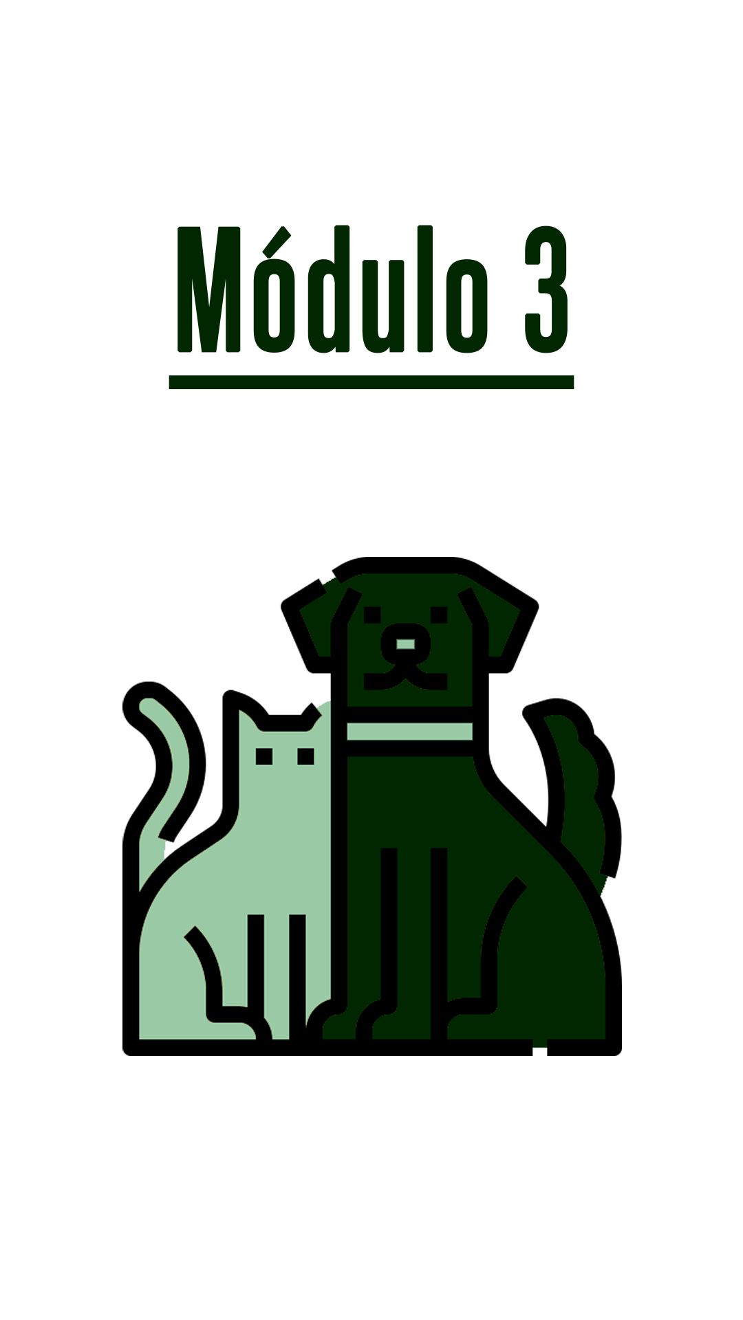 Módulo 3 - cão e gato