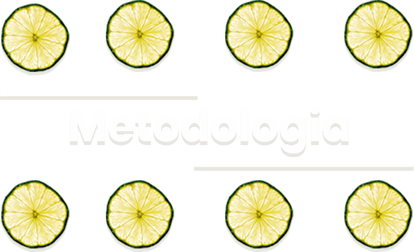 Metodologia FRONT Metodologia FRONT